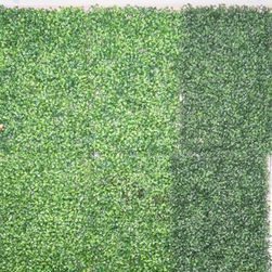 Backdrop - Green Wall
