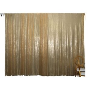 Backdrop - Sequin
