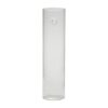 W02-000-018-5-10in.jpg Eliza Vase - Clear