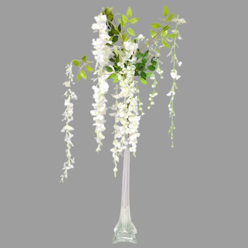 Wisteria