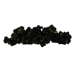 W13-000-004.jpg Black Gold Hydragen