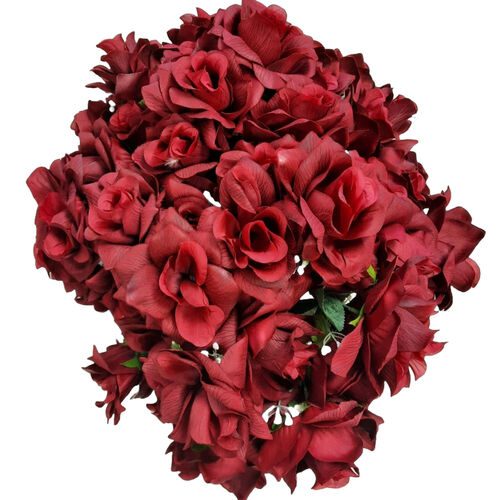 Red Rose