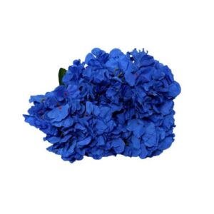 Royal Blue Hydragen