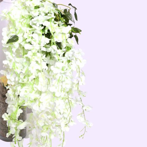 Wisteria Ivory