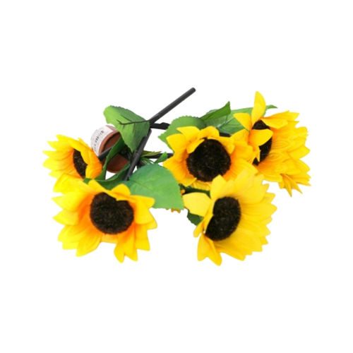 Yellow Hibiscus