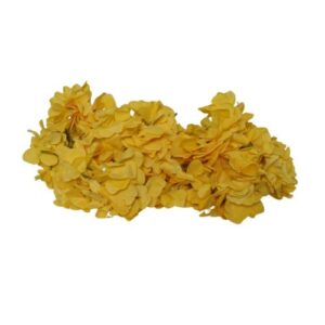 W13-000-016.jpg Yellow Hydragen
