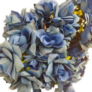 W13-000-019.jpg Royal Blue Roses