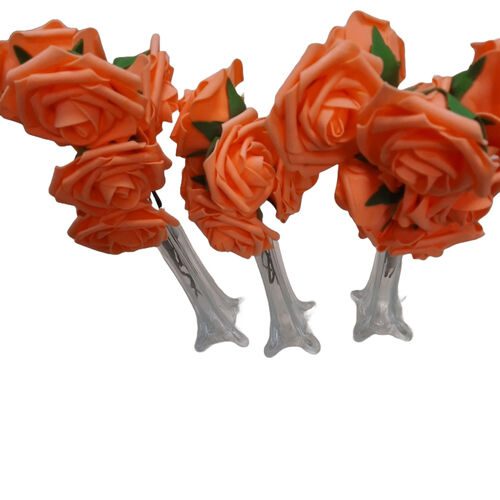 Orange Roses